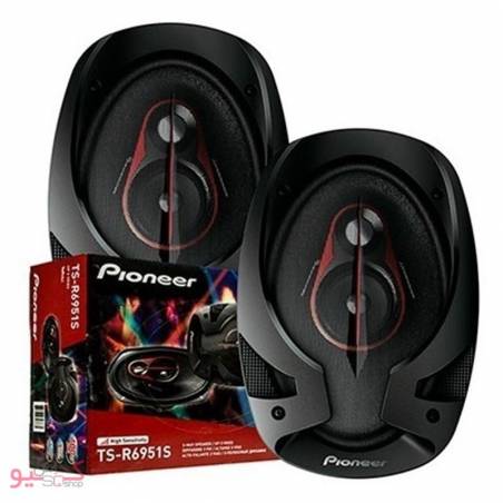Pioneer TS-R6951S Car Speaker