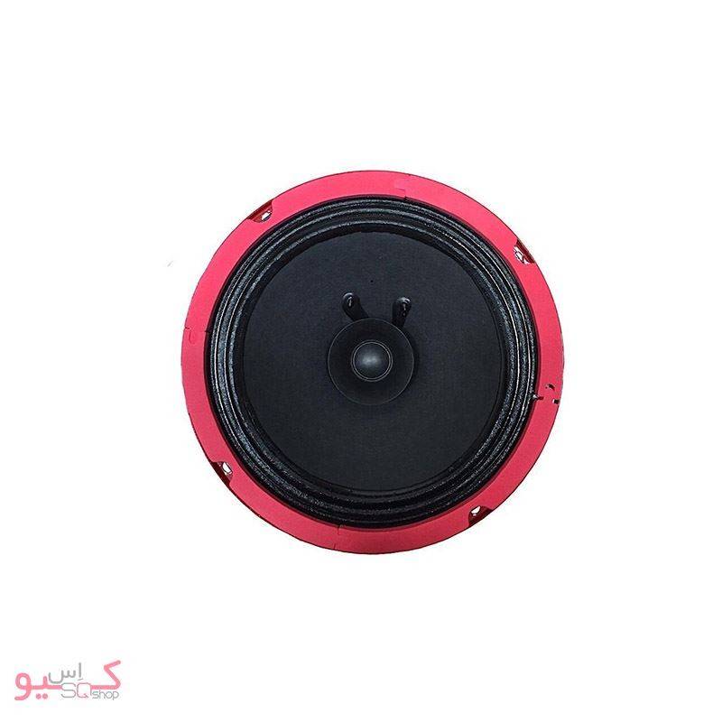 QS YD2-1322 Car Speaker